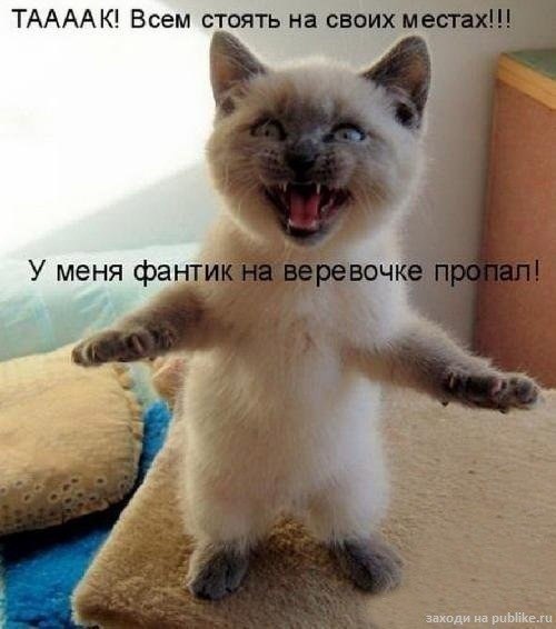 http://f.mypage.ru/9b2a00c53afe777b8540cd1cb24559c9_fcec0f0bad996d3ee9e748e1975b96a6.jpg
